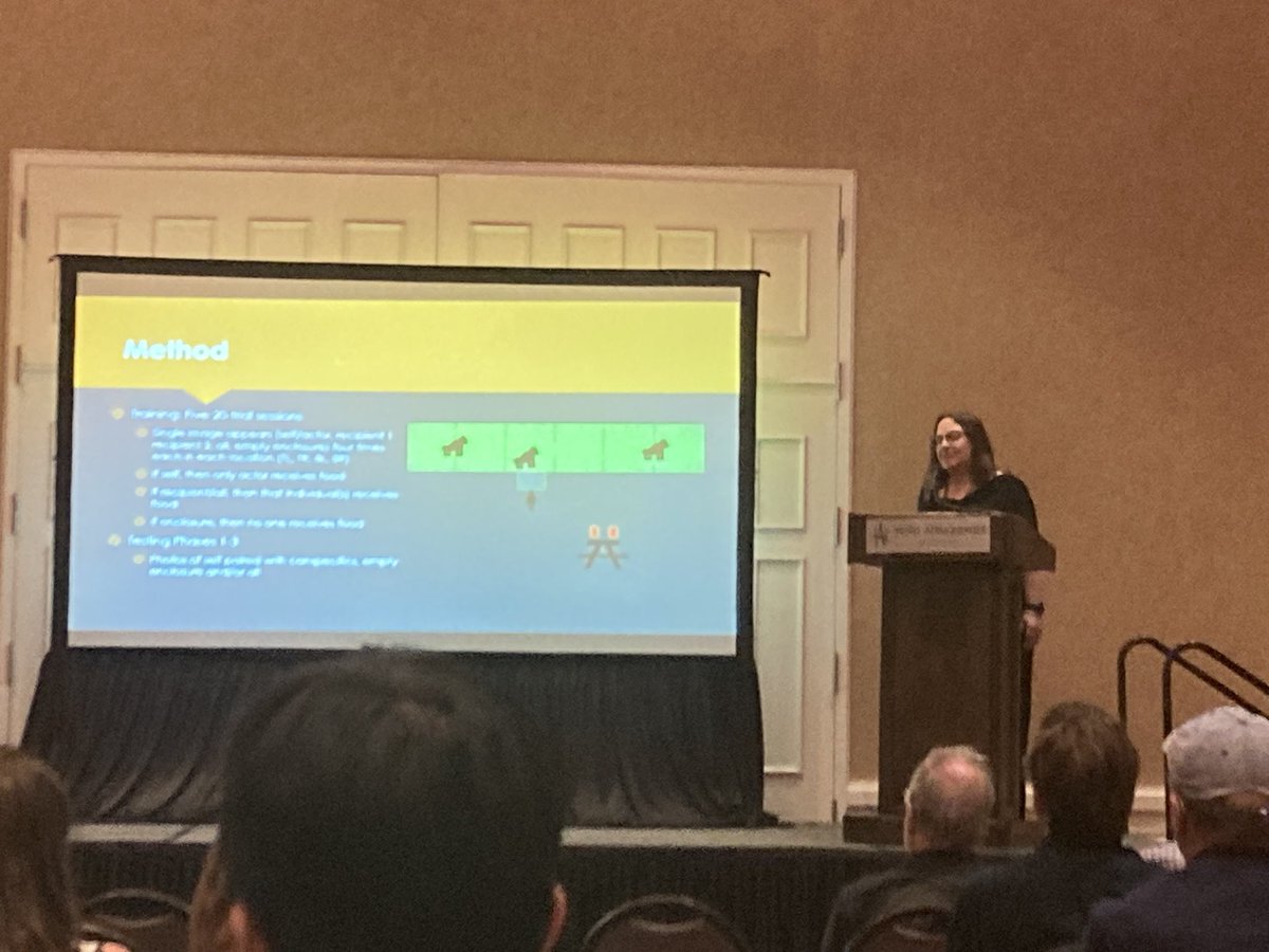 ComparativeCog's tweet photo. Do #gorillas respond to opportunity for #ProsocialBehavior using photos? Work by JenniferVonk found they avoid picking empty enclosure pics but don’t always choose for self/others- suggesting they may not recognize individuals in pics or have clear prosocial preferences #CO3_2024 https://t.co/Fvz5Fg4zbj