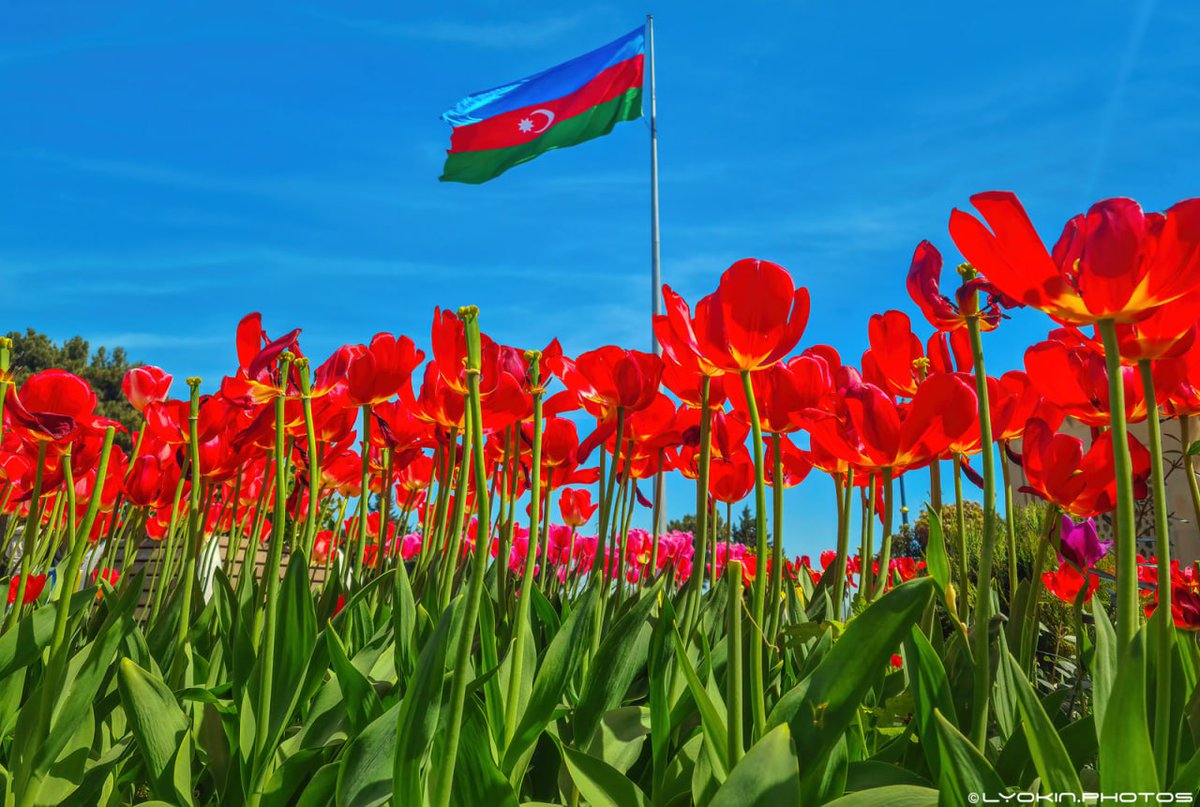 🇦🇿Bakı Bulvarı🌷💐

#Baku #Azerbaijan #FlowersOfTwitter