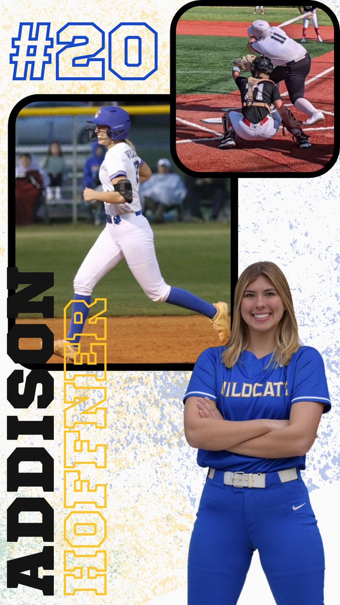 LHS Wildcats Softball tweet media