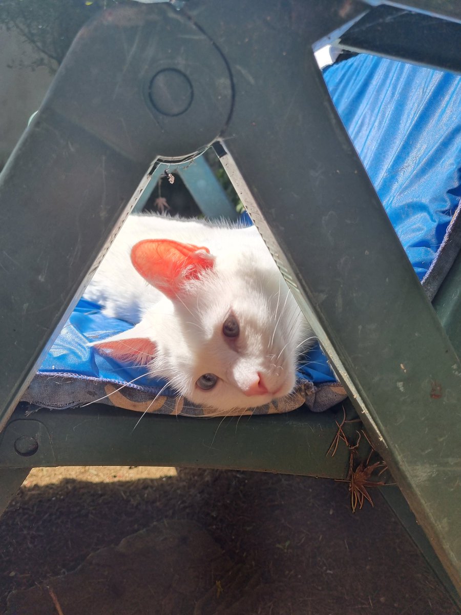 ™Mayulu tweet media