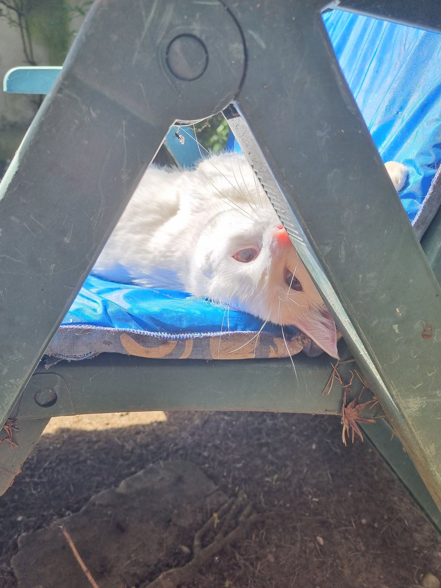 ™Mayulu tweet media