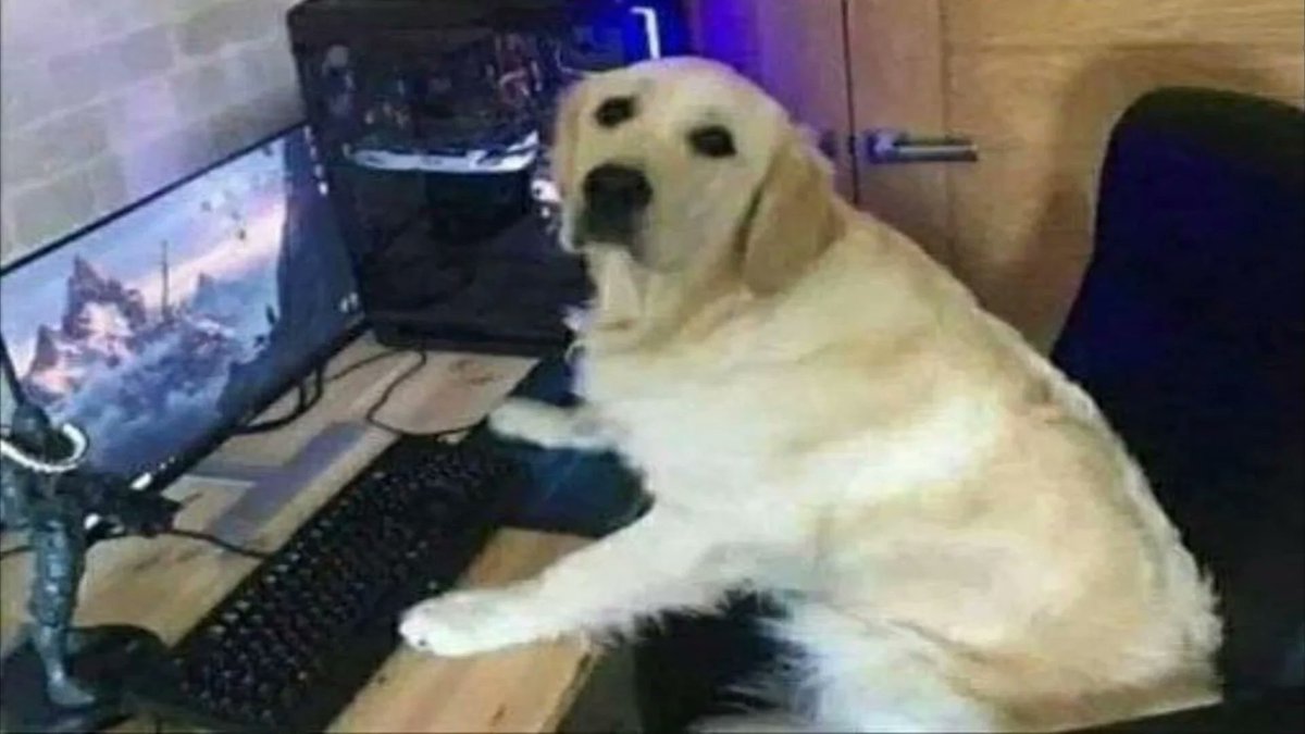 Axel26953647's tweet photo. @zogistra @JosAli17 Zogistra? https://t.co/iMxxEvjcwn