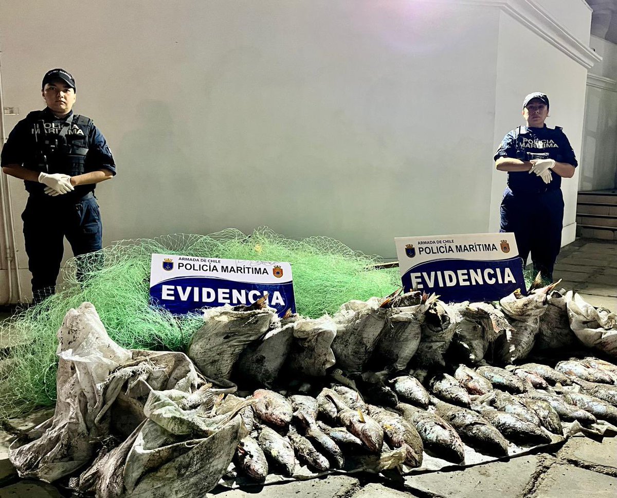 Esta madrugada, la Policía Marítima de #Iquique recibió una denuncia de pesca ilegal a través del método “Chinchorro” en Playa Brava. En el lugar no se encontraron infractores, pero se incautó el arte de pesca y el recurso extraído, dando cumplimiento a la normativa vigente.