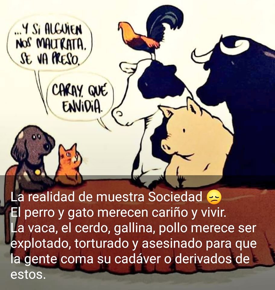 Hijos de... la sociedad 🐈🐕

#DebatePresidencial #difunde #13aprile #Ciencia #RECONOCE #MaltratoAnimal #derecho #코첼라에_닿은_에이티즈의_항해 Bogotá #ENmascotas #AnimalCruelty #HUMANOS #Real #Juric Melgar #ParliamentElection #AnimalesALaConstitución #Verissimo Luis Carlos Vélez