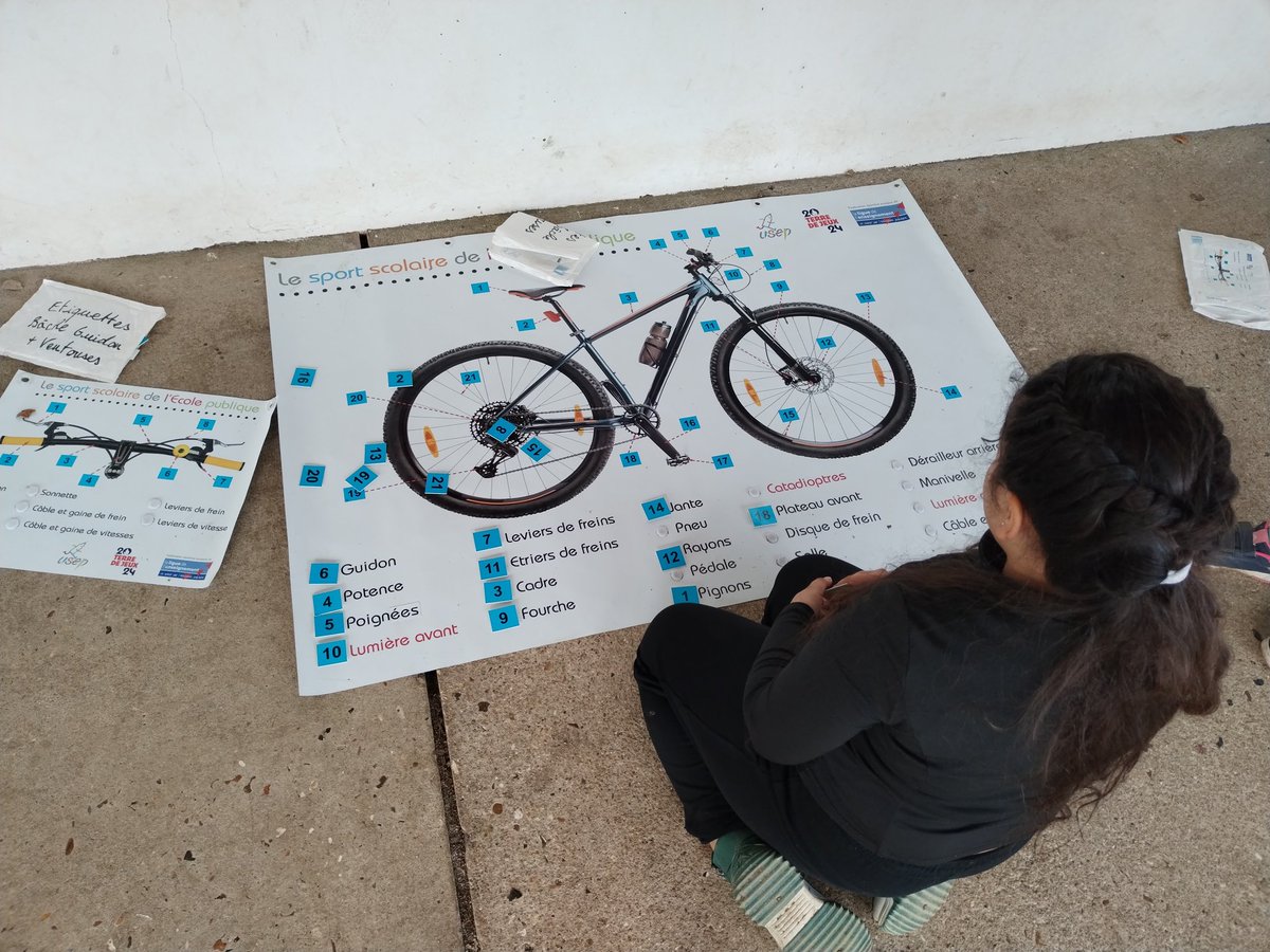 Delphine Toussaint tweet media