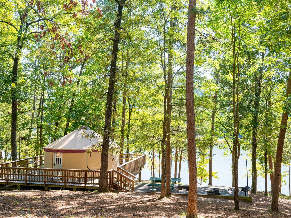 ArkStateParks's tweet photo. YURT — funny name, awesome experience. 🛖 Five of our state parks offer this unique lodging option, complete with electricity, wood floors, screened windows and more. #ARStateParks https://t.co/EpX3m6g9sD https://t.co/Sd5NB3EAGf