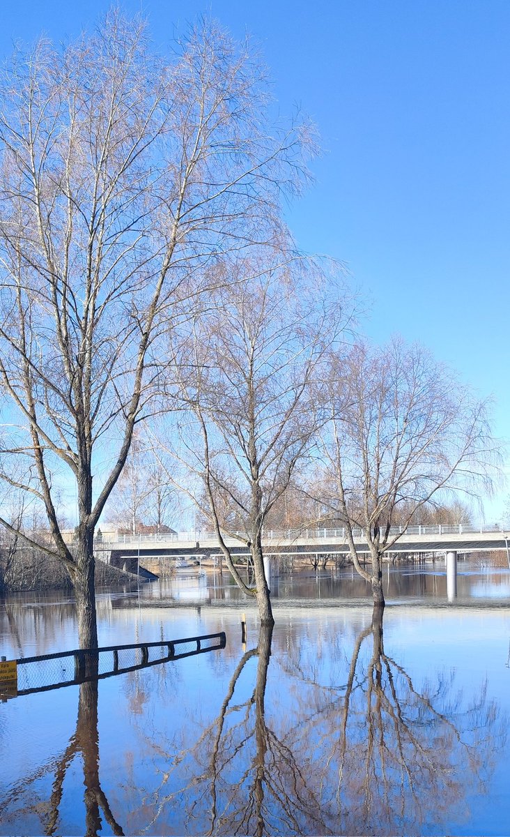 Olen ajellut tällä viikolla Etelä-, Keski- ja Pohjois-Pohjanmaalla nähden samalla tulvivat joet. Ikävintä on ollut se, kun näkee veden saartamat ja kastelemat talot sekä niiden surulliset asukkaat. Tuska on käsin kosketeltava.