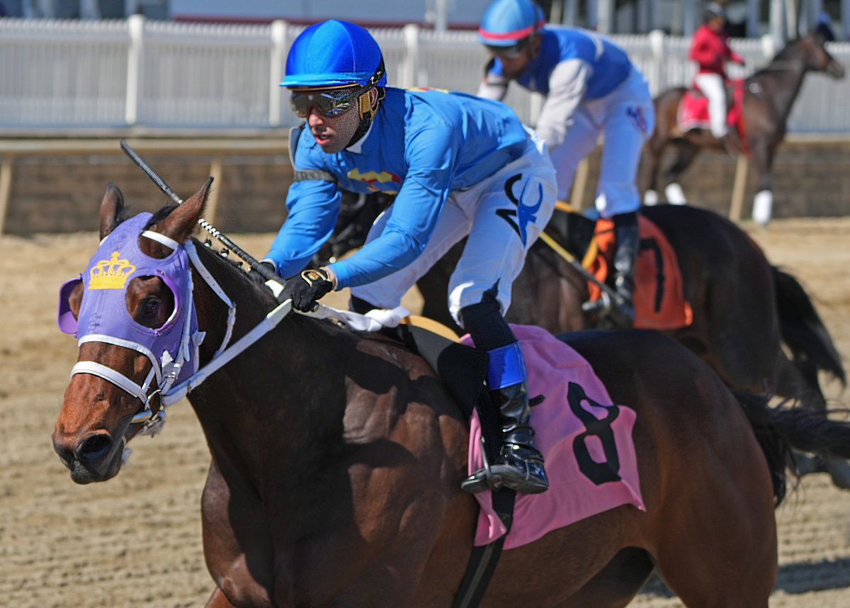 Burningupthedough and jockey @ACruzz01 get the money in 5 1/2F $20K claimer for 3YOs @LaurelPark. @MarylandTB gelding by Friesan Fire trained by Hugh McMahon for William Bayne Jr. & Super C Racing. (Jeff Snyder/MJC 📷)