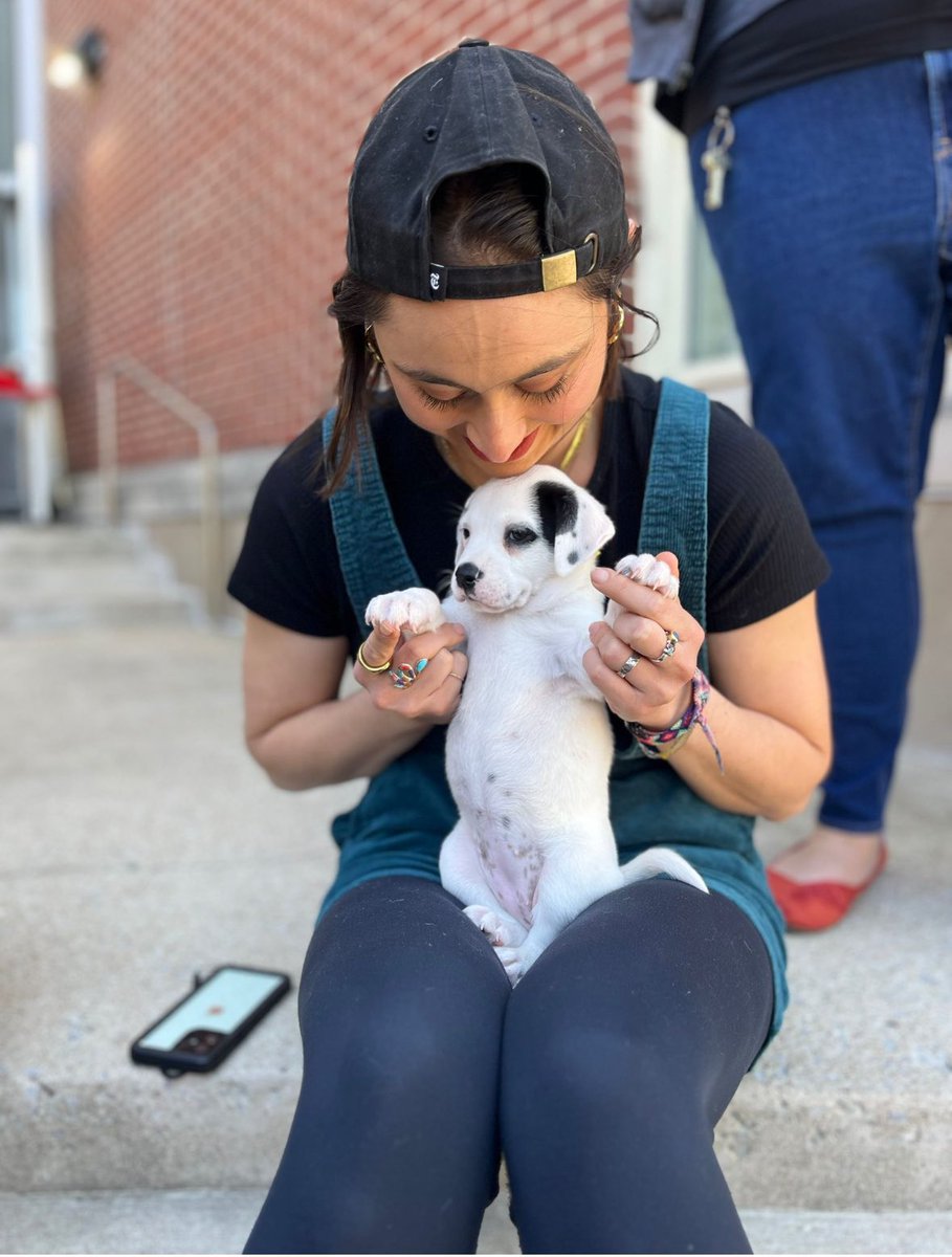 InnovationRJI's tweet photo. Are puppies everyone’s favorite fun activity at WIJ? Yes.
Thanks to @unchainedmelodies for bringing the irish litter for cuddles after a morning of safety, self-care and self-defense training.
#wijworkshop #wijworkshop24 https://t.co/BST2wL8Zhb