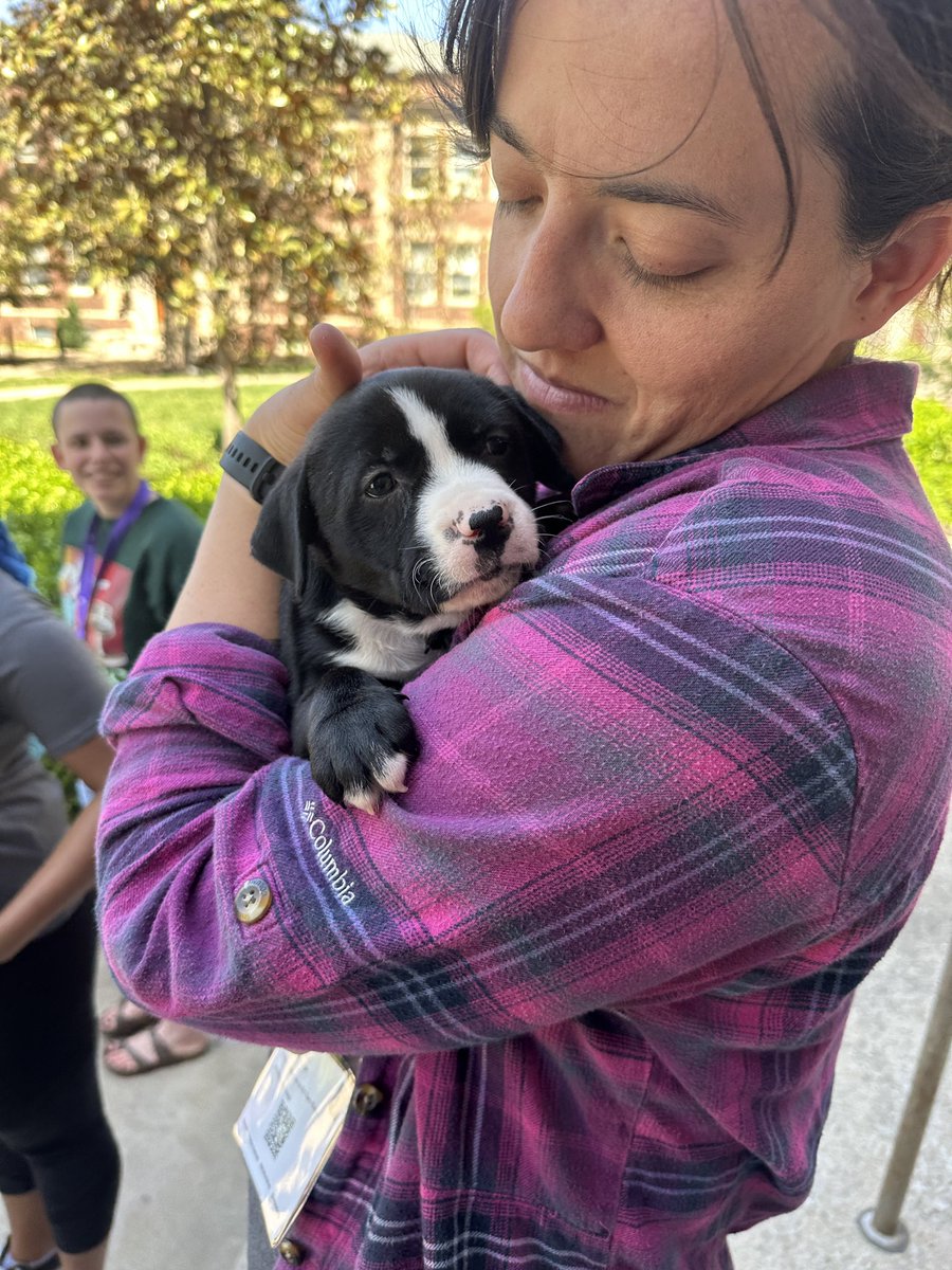 InnovationRJI's tweet photo. Are puppies everyone’s favorite fun activity at WIJ? Yes.
Thanks to @unchainedmelodies for bringing the irish litter for cuddles after a morning of safety, self-care and self-defense training.
#wijworkshop #wijworkshop24 https://t.co/BST2wL8Zhb