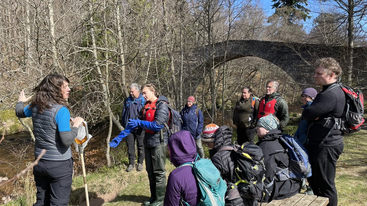 Dee Partnership tweet media