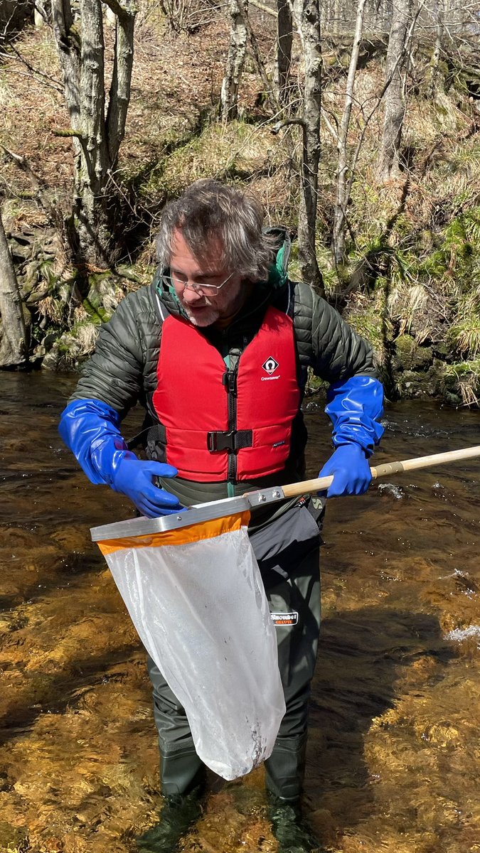 Dee Partnership tweet media