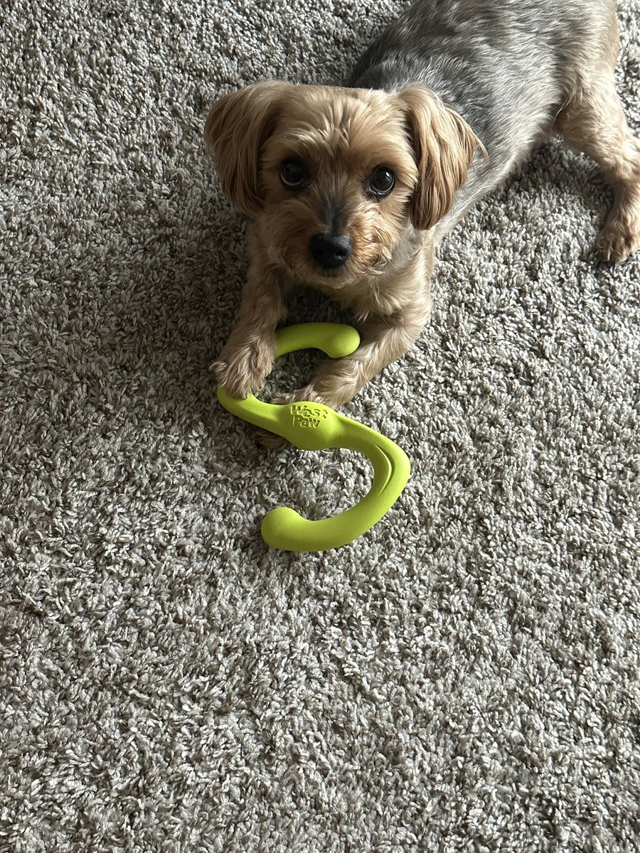 Julia Andrews tweet media