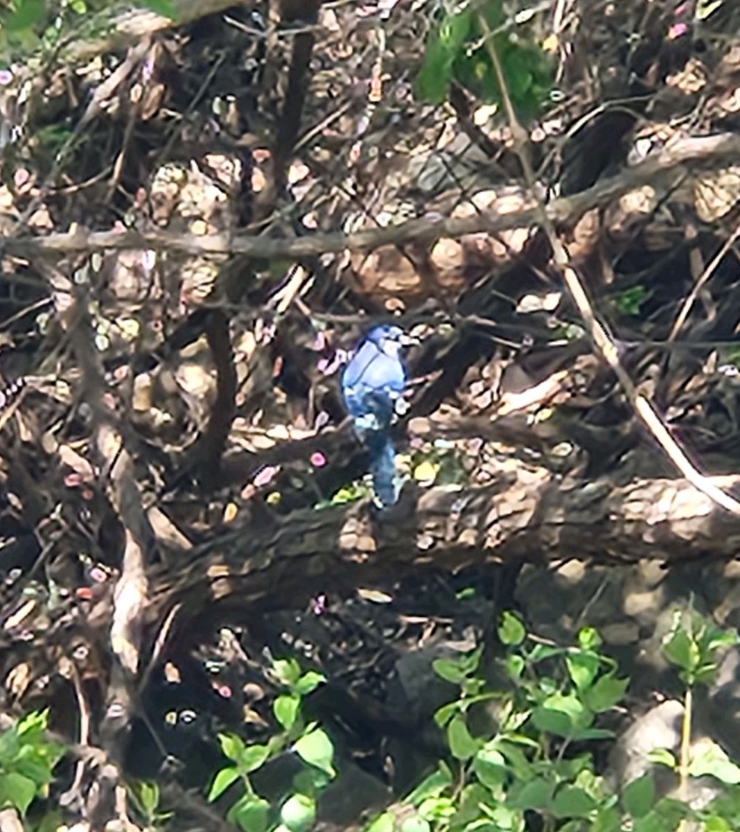 Julie Moore tweet media