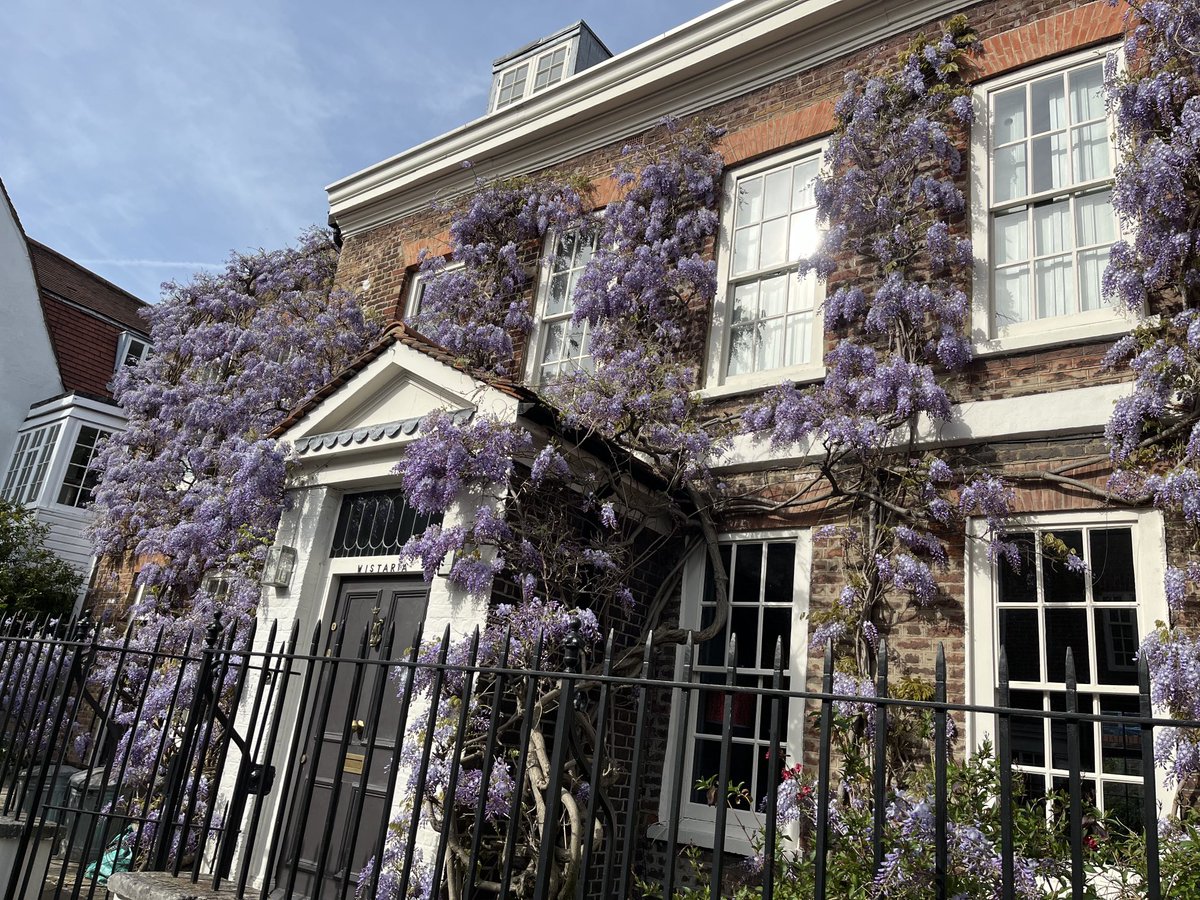 Beautiful Wisteria…