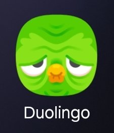 Why does Duo look the way I feel? @duolingo