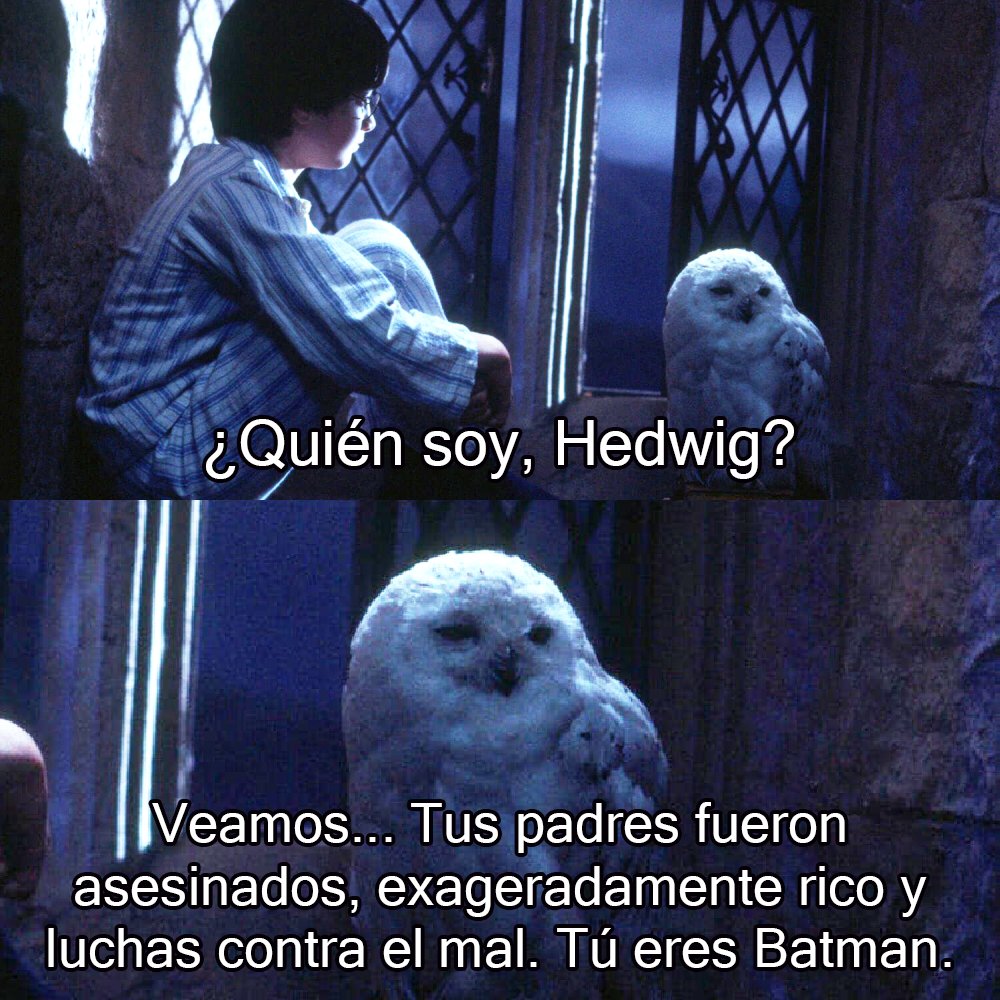 EiProfeta's tweet photo. Lo mejor que verás hoy. https://t.co/un74DxDr9e
