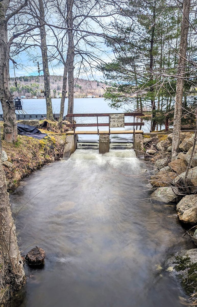 All the rain and spring runoff has filled up the pond #NewHampshire