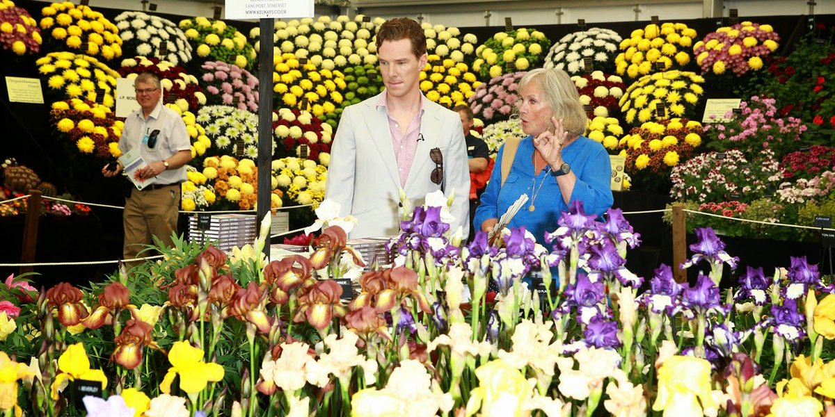 Happy #InternationalPlantAppreciationDay #BenedictCumberbatch #WandaVentham #Chelsea Flower Show