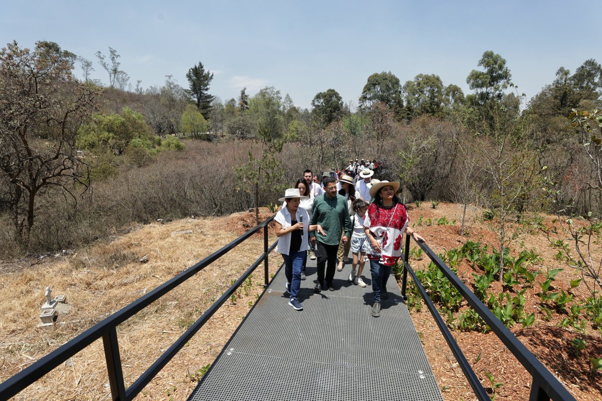 Junto con la titular de @cultura_mx, la titular de @SEDEMA_CDMX y autoridades de @SOBSECDMX recorrimos el proyecto Serpientes y Escaleras, conformado por 6 kilometros de senderos, miradores, puentes y plazas que permiten disfrutar la naturaleza de la Tercera Sección del Bosque de…