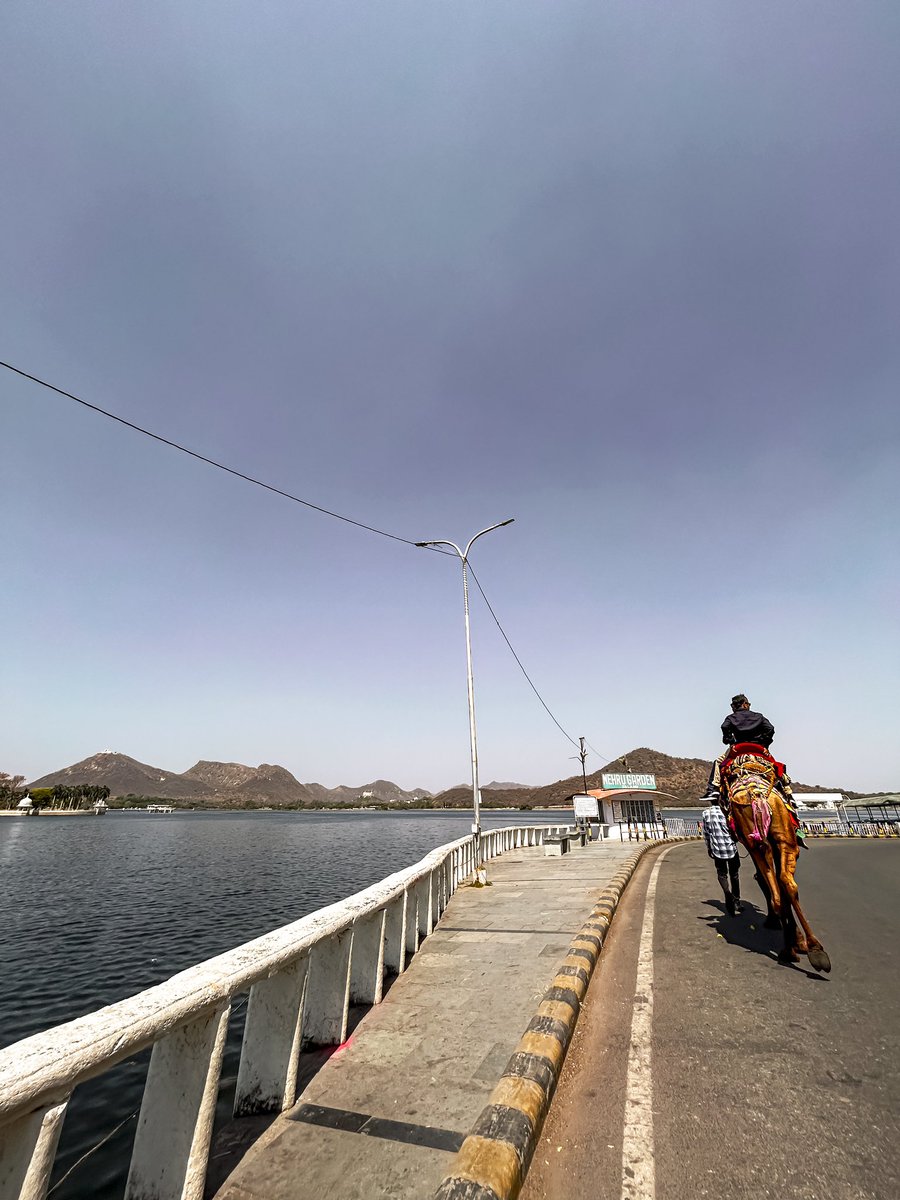 Camel Ride beside Fateh Sagar Lake, Udaipur 🐪❤️ @RajGovOfficial #Udaipur #FatehSagarLake #Rajasthan #SouhardyaMisra