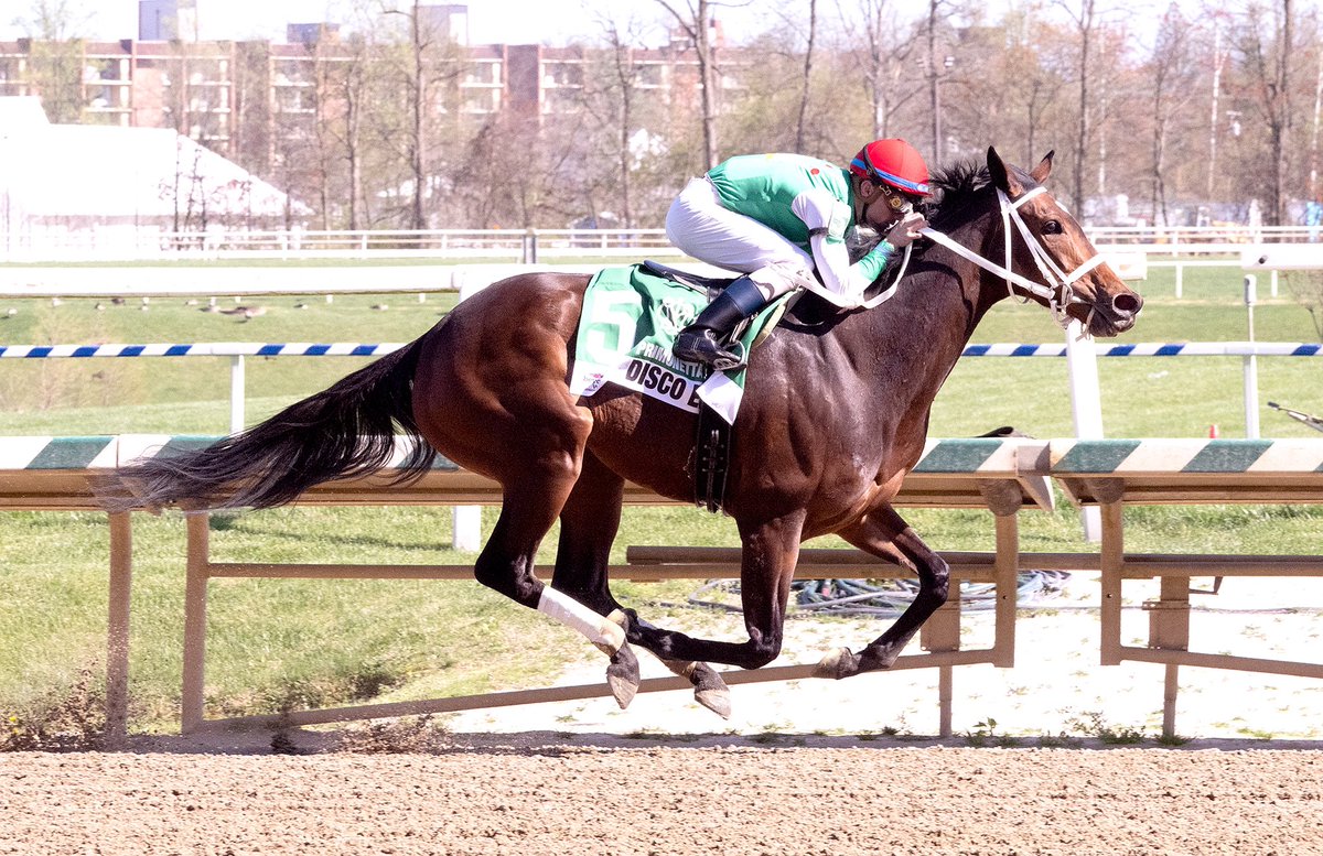 Disco Ebo wins for 11th time in 22 starts and clears $750K mark in earnings with victory in 6F Primonetta S. @LaurelPark for @ptha-based trainer Butch Reid. 5YO @PA_PHBA mare by Weigelia ridden by @SheldonRussell1 for Cash is King & LC Racing. (Jim McCue 📷)