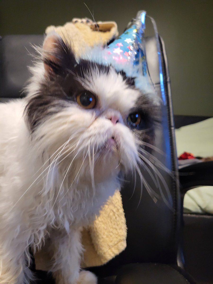 IT IS SOMEONES BIRTHDAYYYYYYYY