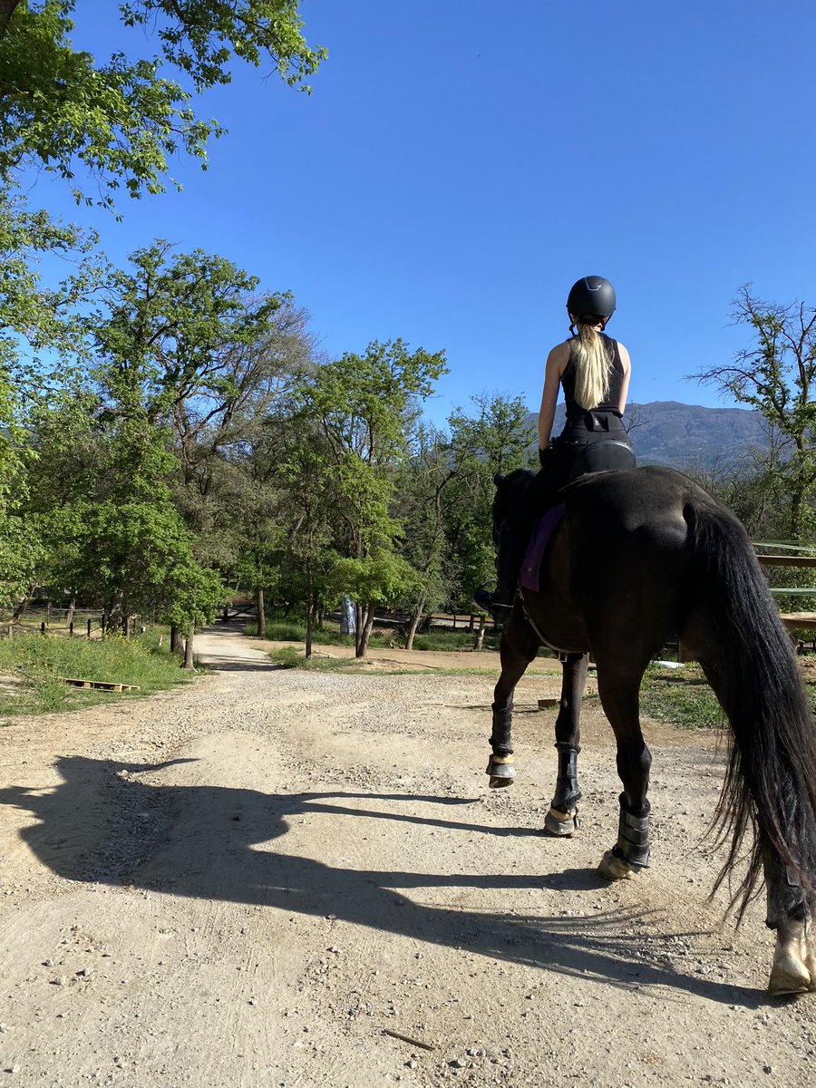 Pokecarvi's tweet photo. Hoy ha sido un dia increíble.
@merii171  ha montado a caballo por la mañana.
Por la tarde hemos ido a un torneo juntos, el primer torneo de Meri de hecho y lo ha hecho muy bien jugando chari.
Yo he quedado segundo jugando LZ Tina.
De eso se trata, de apoyarse el uno al otro ❤️ T' https://t.co/O98sYl13gK