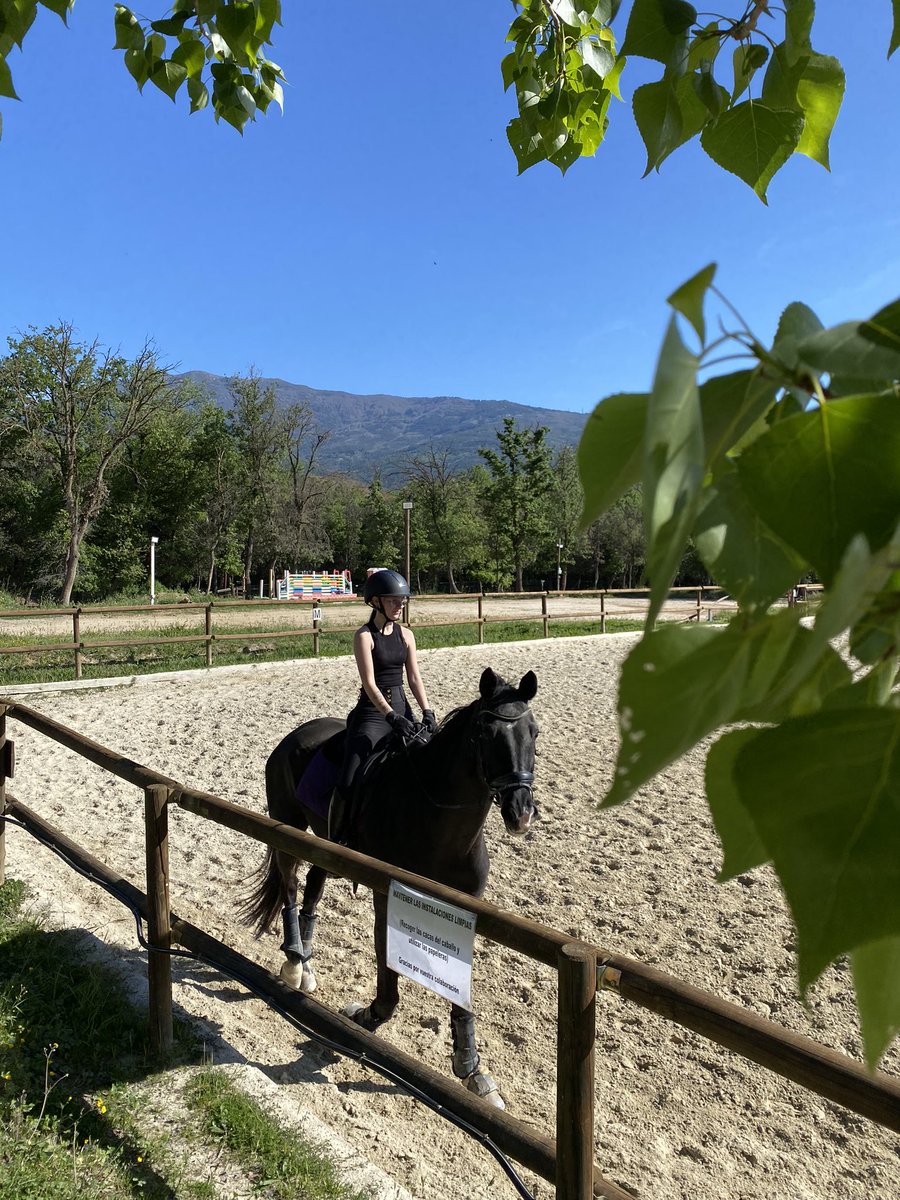 Pokecarvi's tweet photo. Hoy ha sido un dia increíble.
@merii171  ha montado a caballo por la mañana.
Por la tarde hemos ido a un torneo juntos, el primer torneo de Meri de hecho y lo ha hecho muy bien jugando chari.
Yo he quedado segundo jugando LZ Tina.
De eso se trata, de apoyarse el uno al otro ❤️ T' https://t.co/O98sYl13gK
