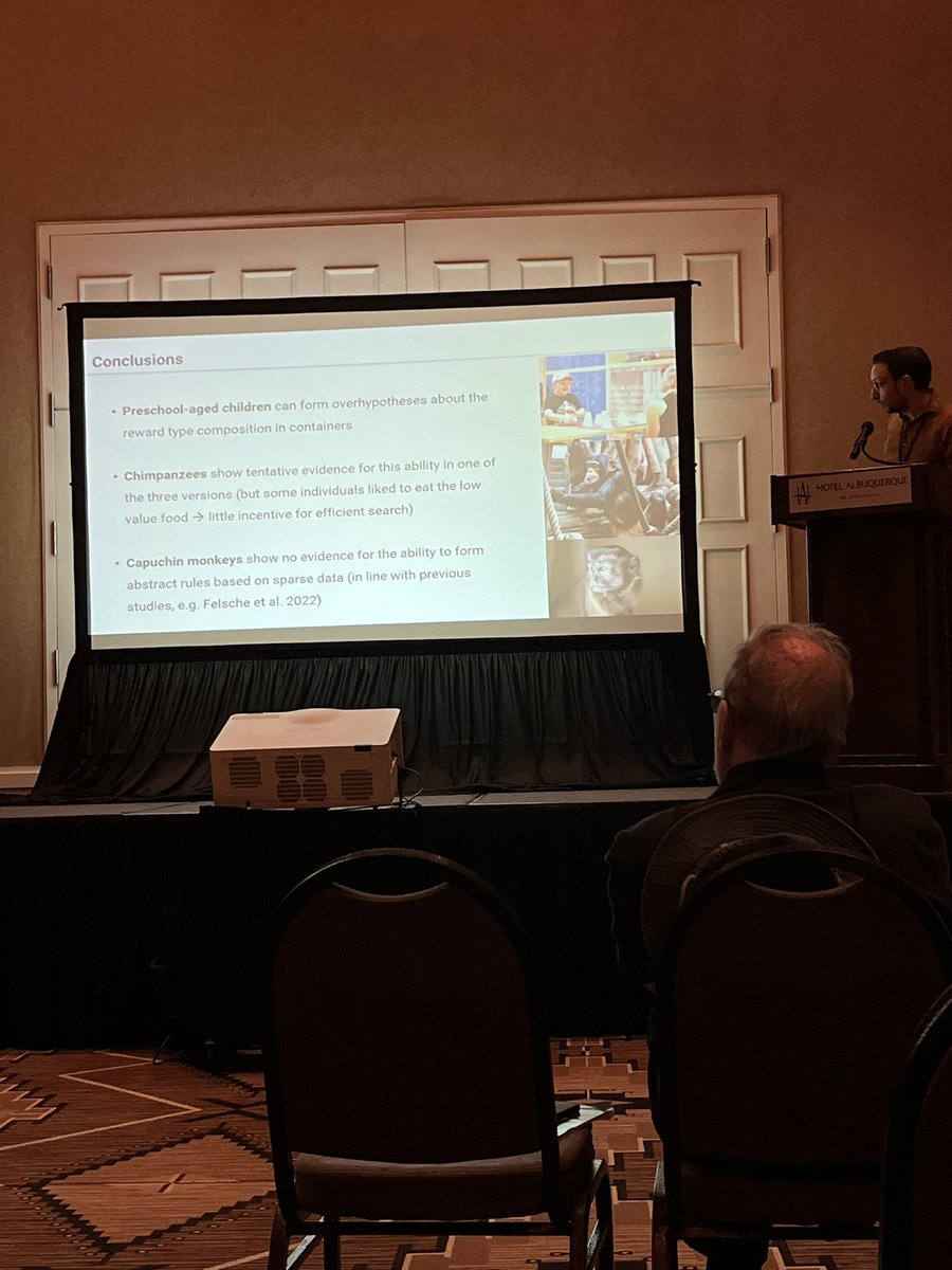 ComparativeCog's tweet image. How do children, chimpanzees &amp;amp; capuchins understand #AbstractConcepts? 🐵👦 @ElisaFelsche &amp;amp; team&apos;s work suggests children &amp;amp; chimps form abstract knowledge in foraging tasks, highlighting cognitive similarities between humans &amp;amp; some primates. #Cognition #AnimalLearning #CO3_2024