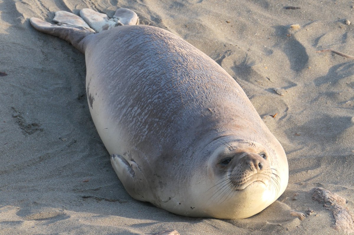 Monica S. tweet media