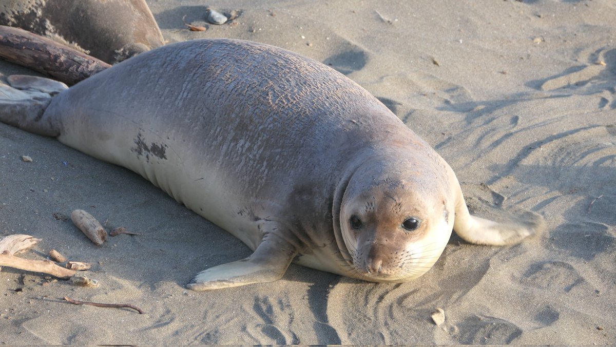 Monica S. tweet media