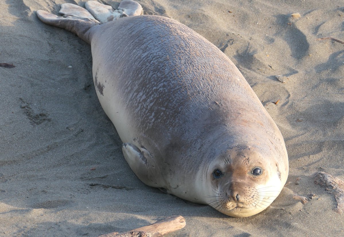 Monica S. tweet media