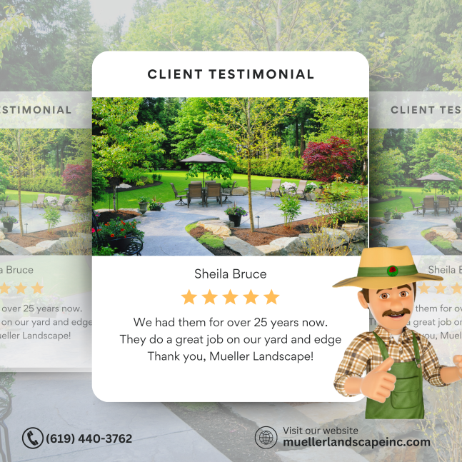 Thank you so much Sheila for your kind words! 🌿 We truly appreciate your loyalty and support for the past 25 years. It's customers like you that make us love what we do! 💚

#gardenlife #paving #trees #interiordesign #lawnmowing #muellerlandscape