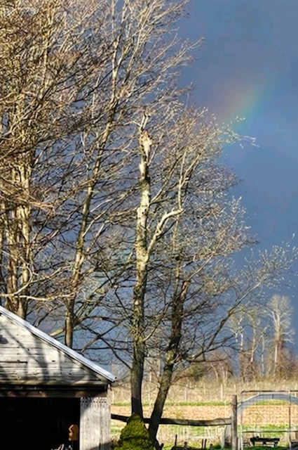 Someday you'll find it 
The Rainbow Connection 
The lovers, the dreamers, and me ! 

Rainbow at Ethos ! #rainbows #connectwithnature #beauty