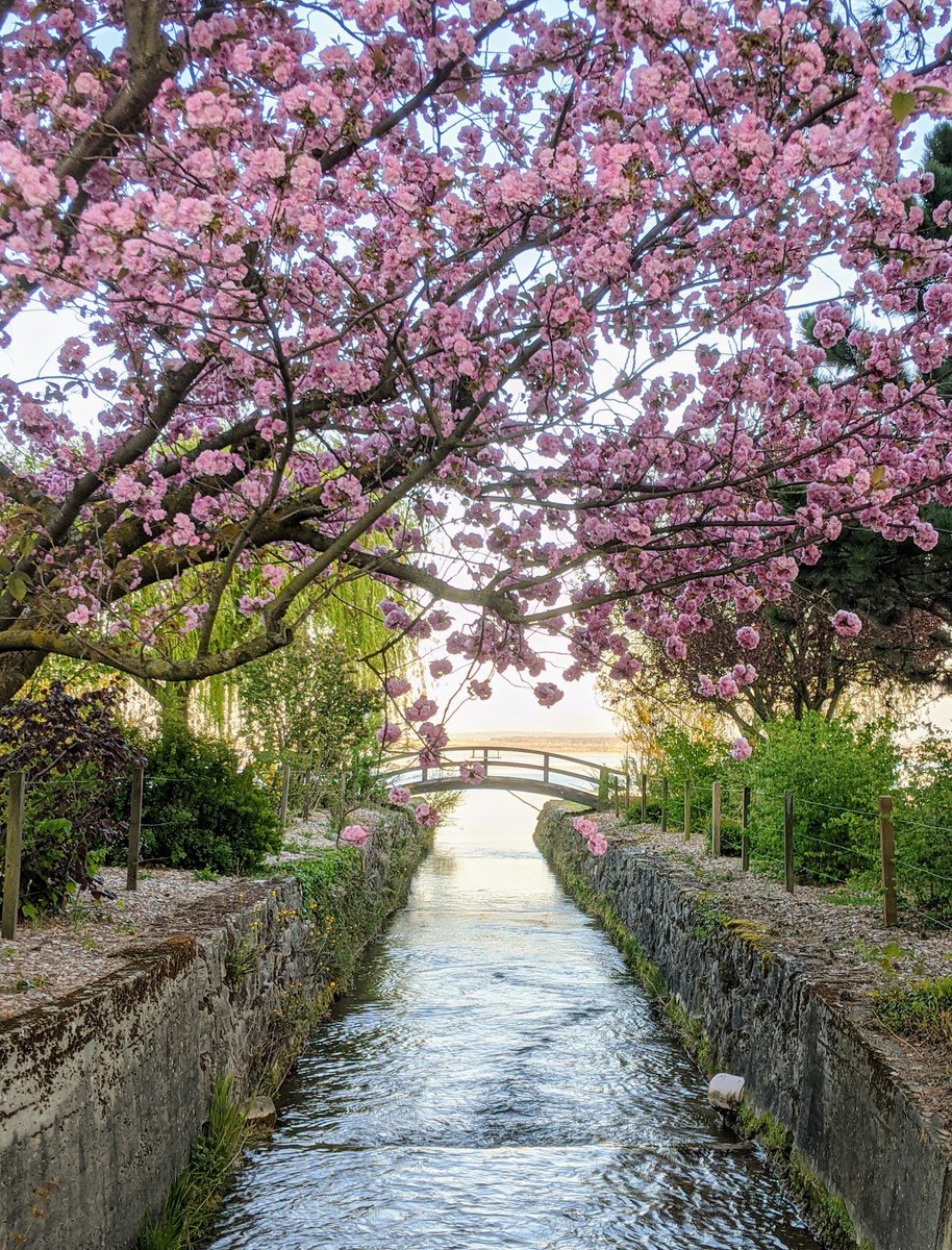 stackhodler's tweet image. I remember when people panic-sold #Bitcoin because Covid-19 was the end of the world.

Many of us created generational wealth by buying that fear right before the 2020 halving. 

The drop from $10K -&amp;gt; $4K was a gift I'll never forget.

And history feels like it's starting to…