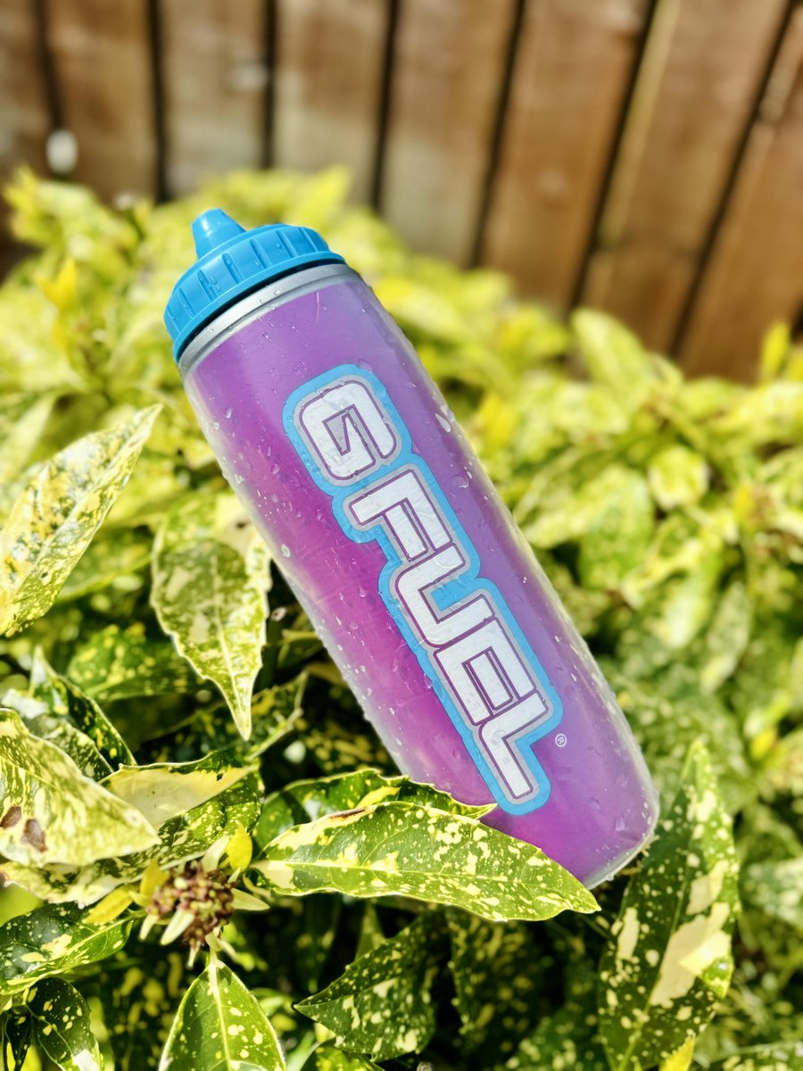 Our Squirt Bottle! Keeping you fueled up & refreshed on the go 😌💦 🛍️: gfuel.ly/hornets-squirt…