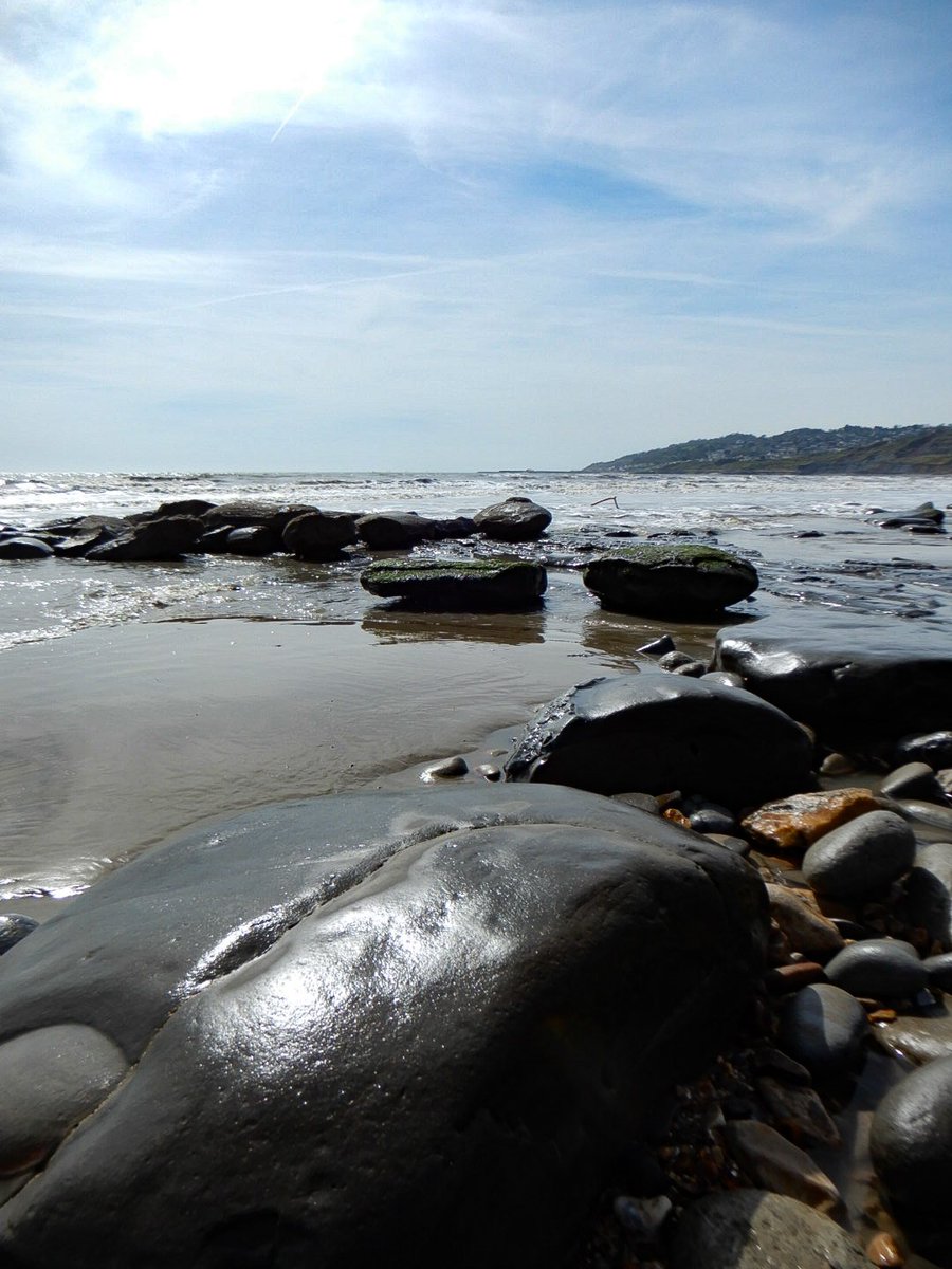 A day of ammonite and belemnite fossil hunting down at #Charmouth #Dorset