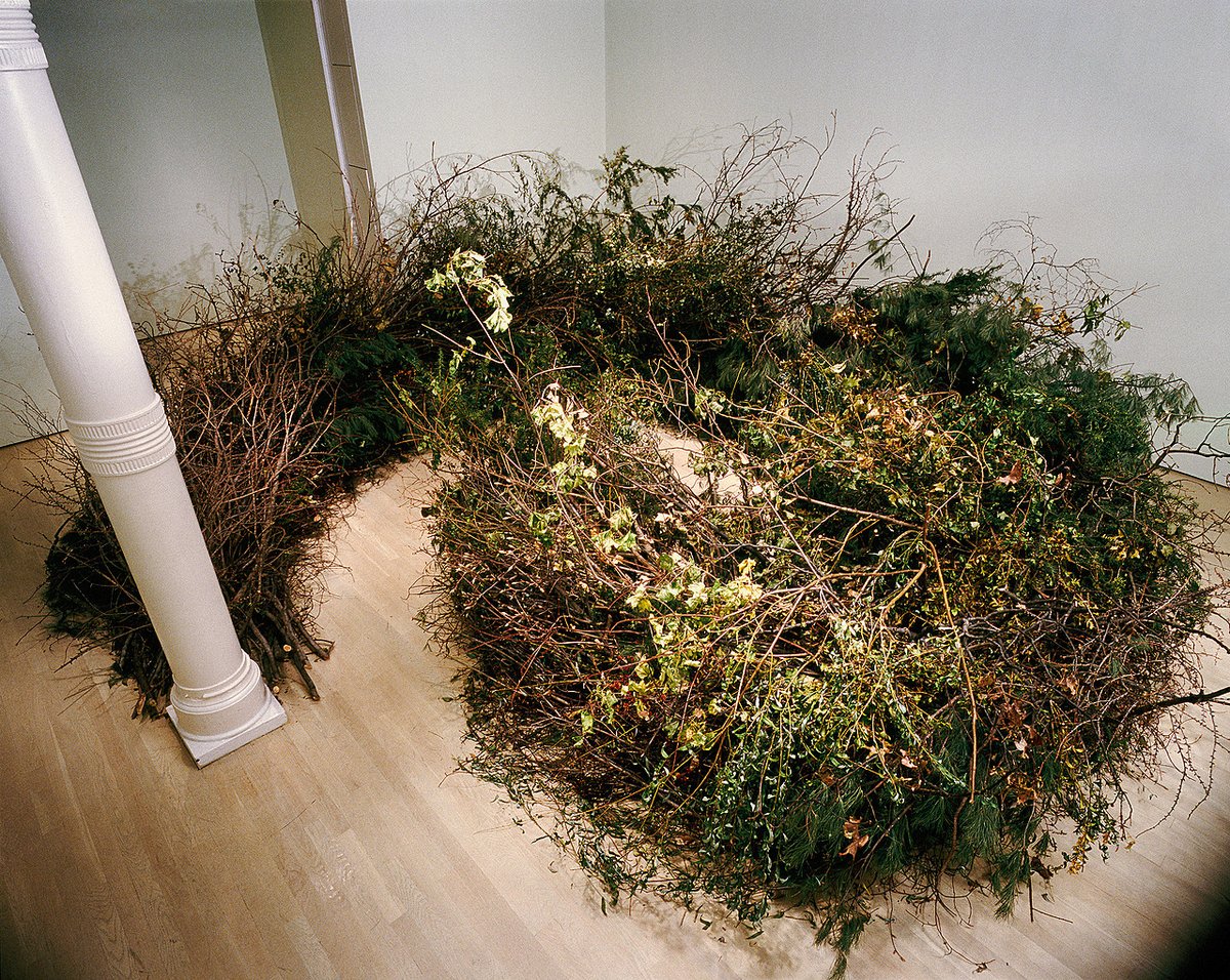 #MegWebster utilizes live plants that grow and decay within her installations, showcasing the timelessness and fertility of nature. 'Stick Spiral' incorporates flora native to the region and season where it is shown and has already been cut. 🌿: Meg Webster, 'Stick Spiral,' 1986