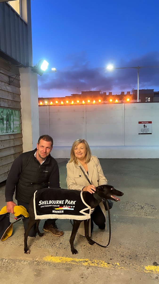 Kerogue Lady🥰 into the final we go🏅 @GRIgreyhoundsSK @shelbournepark