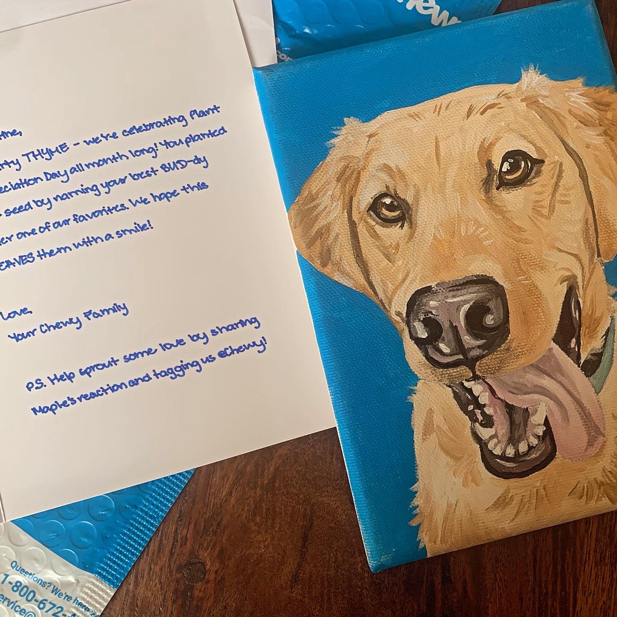Cstess's tweet photo. An act of kindness is worth so much…thank you @Chewy you made my week. #AmazingCompany #LoyalToCustomers #WeLoveChewy https://t.co/OFy9FUnjeP