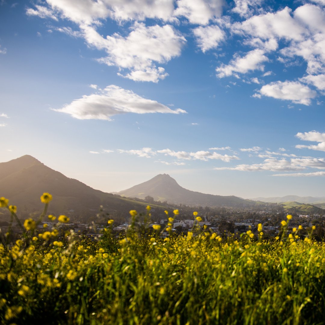 Did you know that almost the entire #SLOCity is surrounded by a Greenbelt? Hikes like the Johnson Ranch Loop and the Lemon Grove Loop are all part of the City’s Greenbelt Protection Program, conserving land in and around to protect natural resources. ➡️ slocity.org/sustainableslo