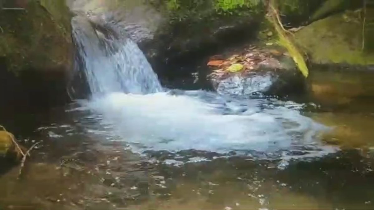 Cuidemos las fuentes hídricas, hasta que el buen uso del agua se haga costumbre !