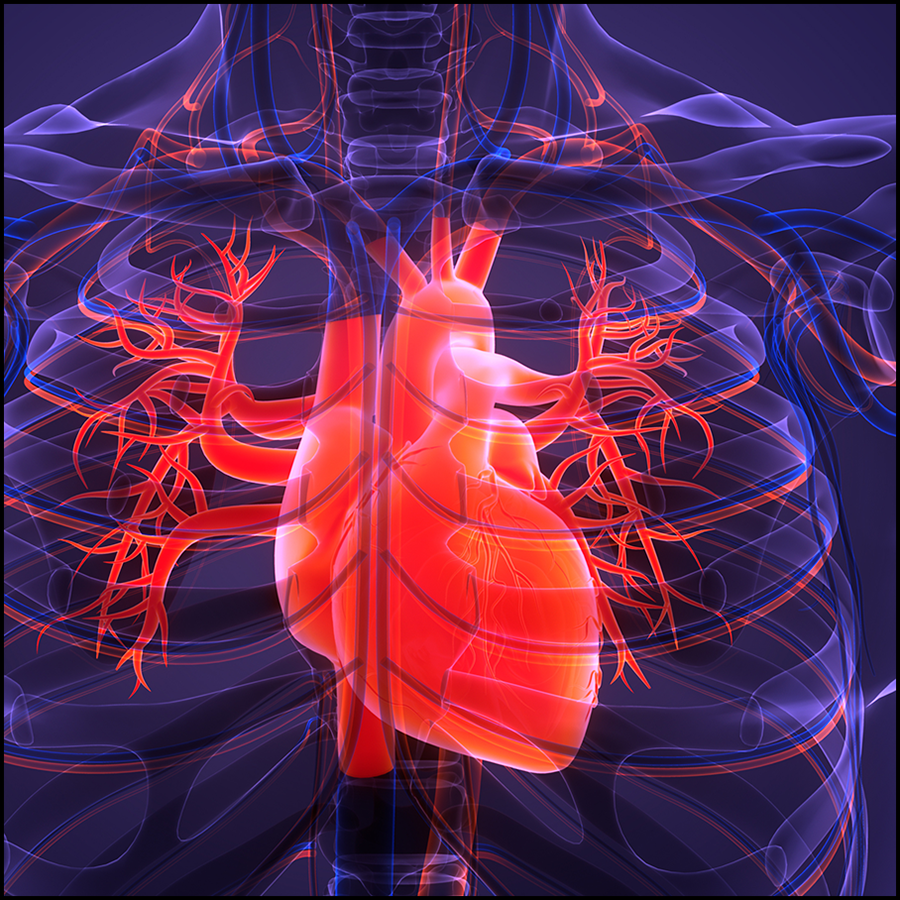 Adapted thermodilution for VV-ECMO allows simultaneous measurement of recirculation fraction and cardiac output and may help optimize patient management with severe respiratory failure. Read the new article: ow.ly/g8Og50RfpzI