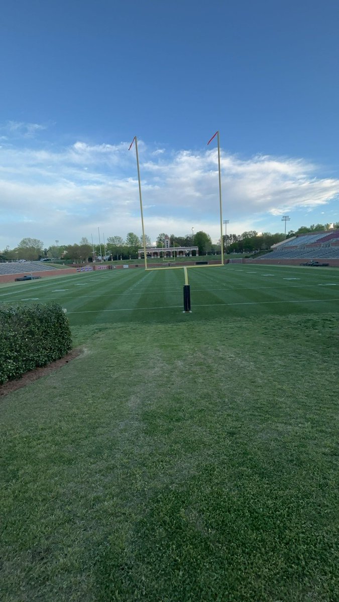 Samer Layous tweet media