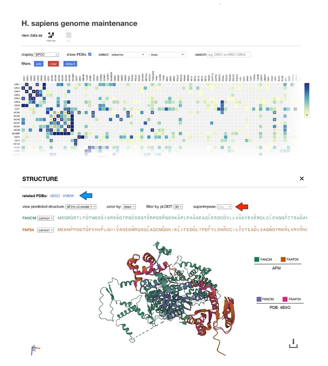 Chromatin Haiku (@chromatinhaiku) on Twitter photo AF multimer
A classifier called SPOC
Predictome preprint!
#ChromatinHaiku #GenomeMaintenance
<a href="/ernstschmidd/">Ernst Schmid</a>
biorxiv.org/content/10.110…
predictomes.org AF multimer
A classifier called SPOC
Predictome preprint!
#ChromatinHaiku #GenomeMaintenance
<a href="/ernstschmidd/">Ernst Schmid</a>
biorxiv.org/content/10.110…
predictomes.org