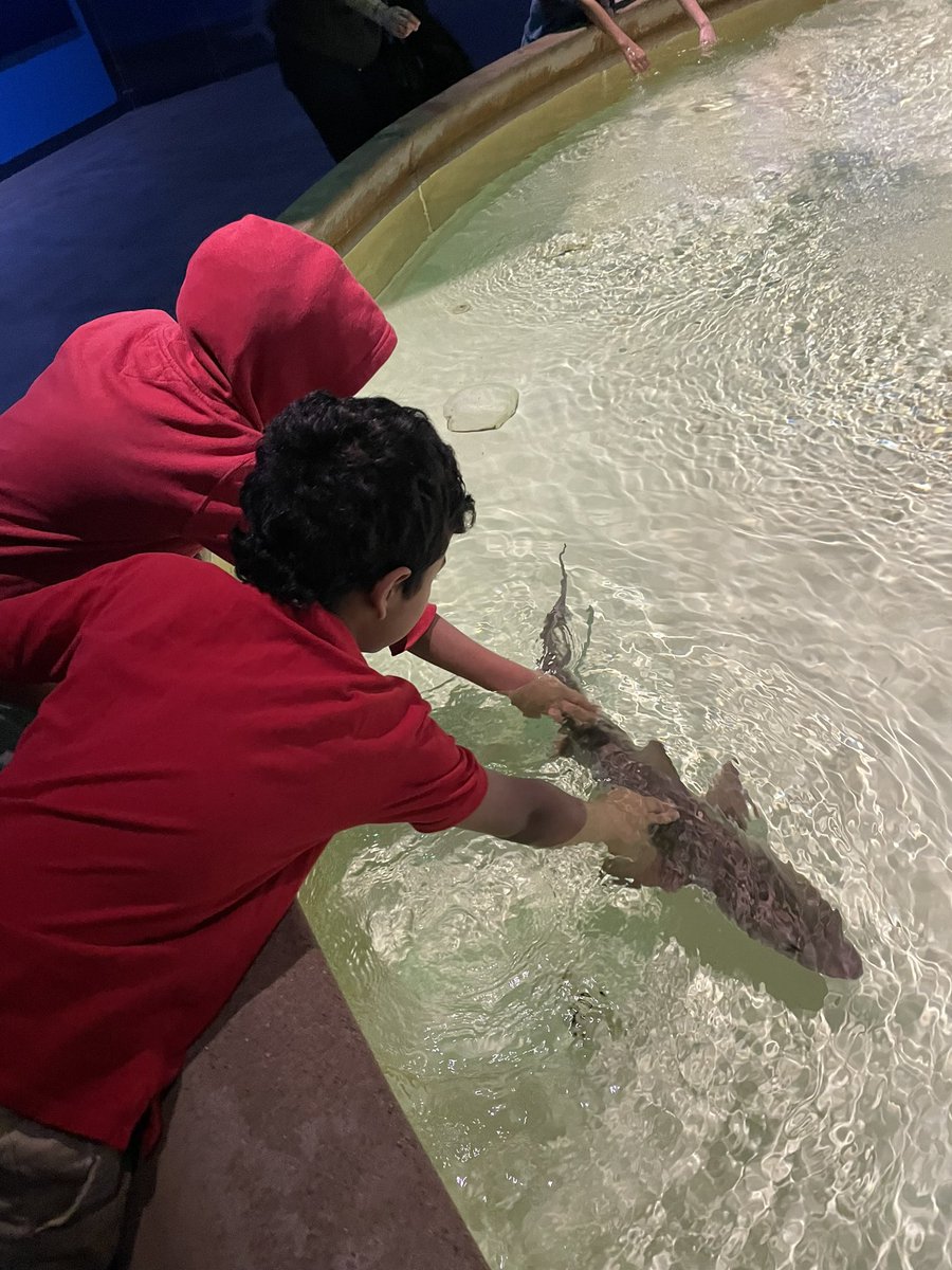 Clare Mueller tweet media