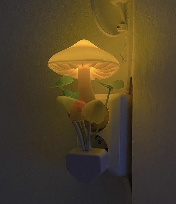 mushroom wall lamp 🍄