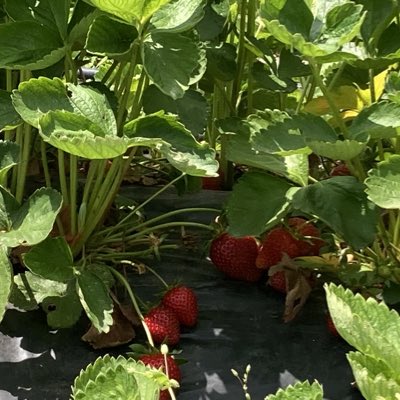 Omer__my's tweet photo. #YeniProfilResmi https://t.co/f25dMOVW99