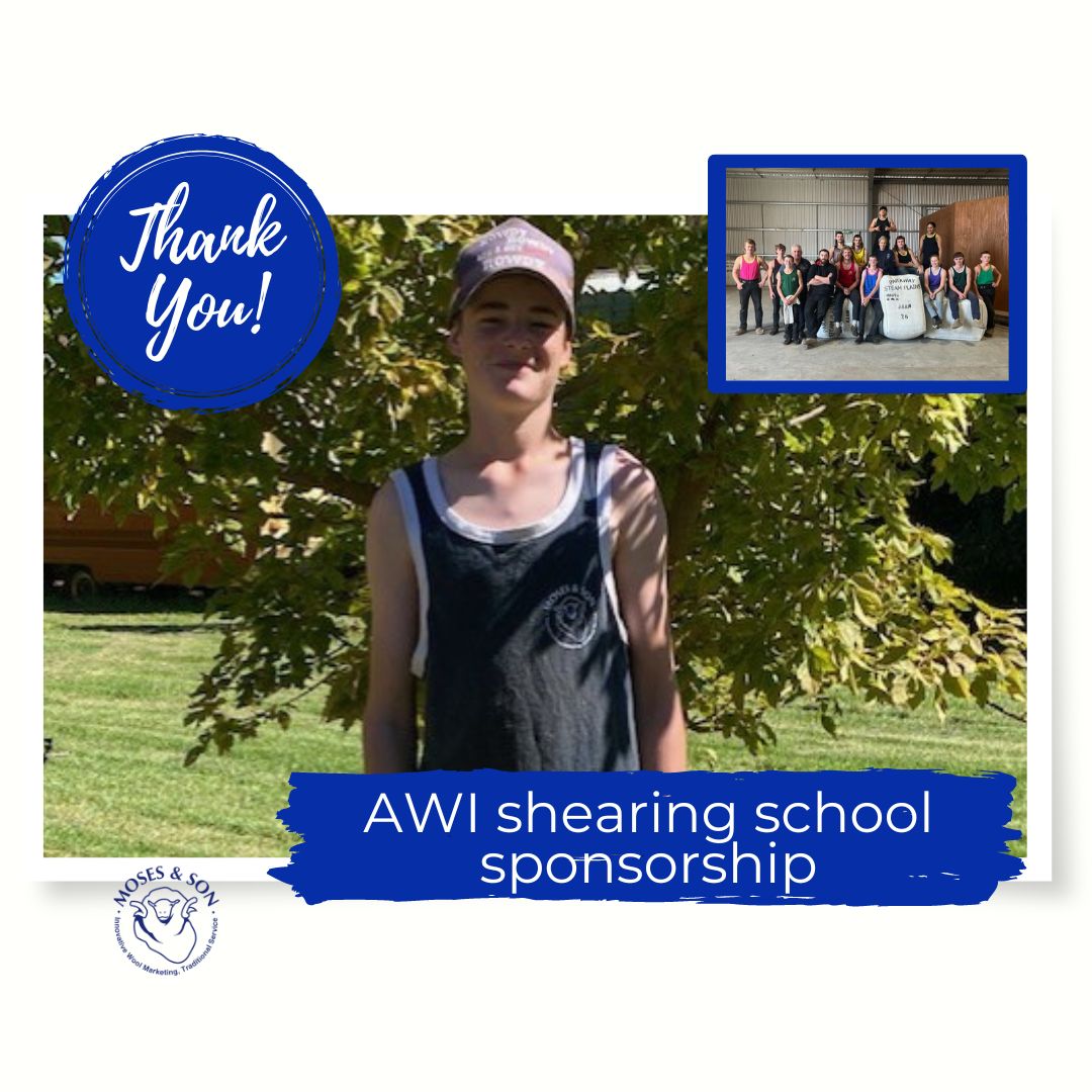 Moses & Son proudly sponsored Rowdy Thompson for his placement at the Shearing School. His feedback: 'Thank you for the support to attend the AWI shearing school at Steam Plains. I've gained valuable knowledge and am eager to continue improving.' 🐑#MosesandSon #ShearingSchool